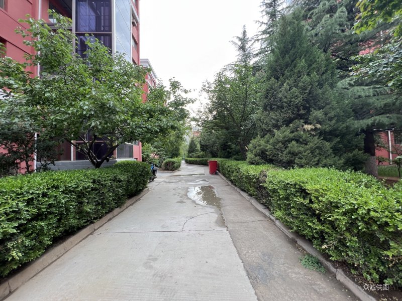 东部 空港 电梯房 正规三室 南北通透 看房方便 采光好,空港花园二手