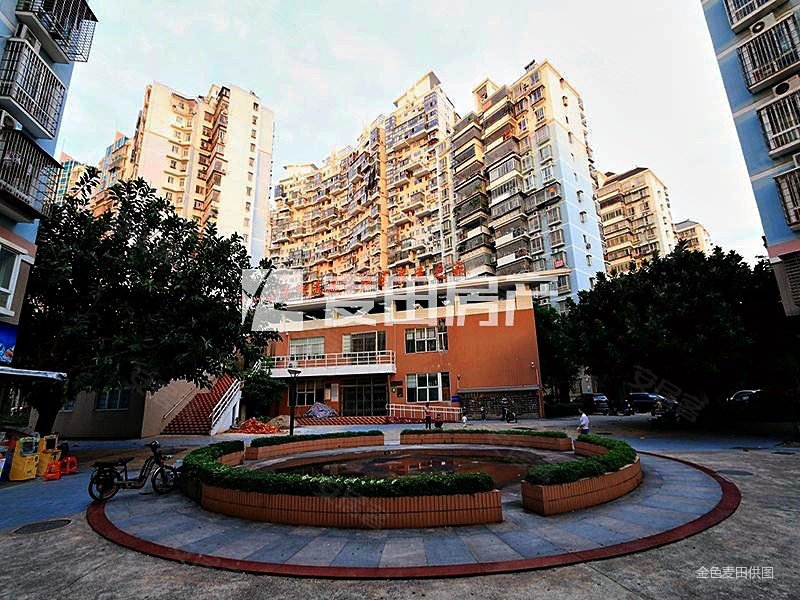 莲坂新村小区三区