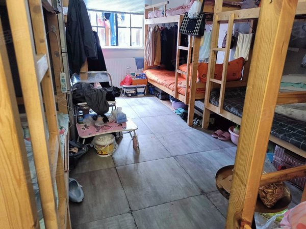 上海黄浦打浦桥局后小区多年老宿舍,可以住8到10人,包配床,另外大小