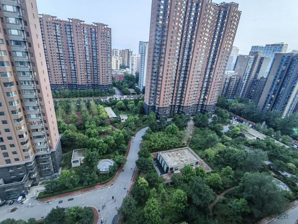 苍南御宸上院元宝户型,双卧加客厅朝南,南北通透,有车位,御宸上院出租