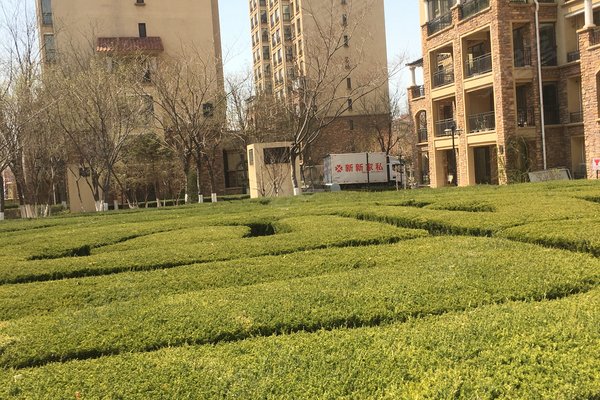 营口小区 鲅鱼圈小区 鲅鱼圈小区 金泰城(一期) 金泰城(一期)怎么样