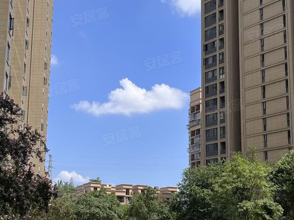 资阳雁江正兴街多弗绿城诚园多弗绿城诚园 2室1厅1卫出租房源真实图片