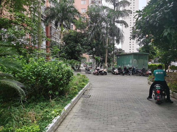 棕榈湾,安吉租房,精装 1室 整租 面议 采光通透,西乡塘租房-南宁58