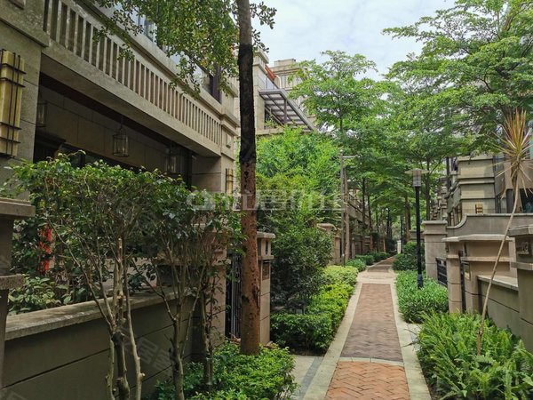 南宁青秀凤岭北荣和公园墅青秀中心,凤岭北豪宅别墅出租,拎包入住