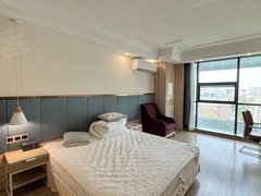湖州长兴长兴市区东鱼坊二小旁 精装单身公寓 可押一付一 出行方便 拎包入住出租房源真实图片