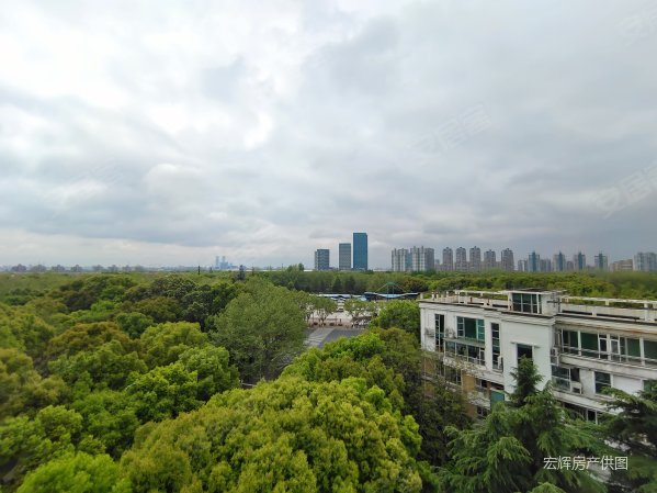 带露台和超大阳台共82平 实际使用面积230平 看房方便,陆家嘴新景园