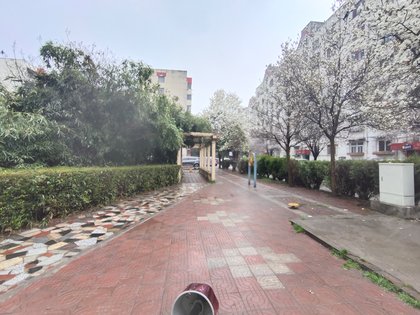 宝鸡陈仓园二区新冠疫情是啥情况〖宝鸡现在疫情严重吗〗