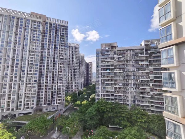 【多图】崇文花园,大学城租房,崇文花园电梯房 精一房一厅直租 学校旁