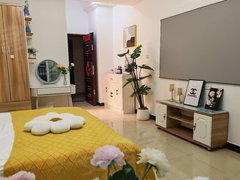 武汉黄陂盘龙城天纵城(商住楼) 1室1厅1卫  电梯房 精装修45平米出租房源真实图片