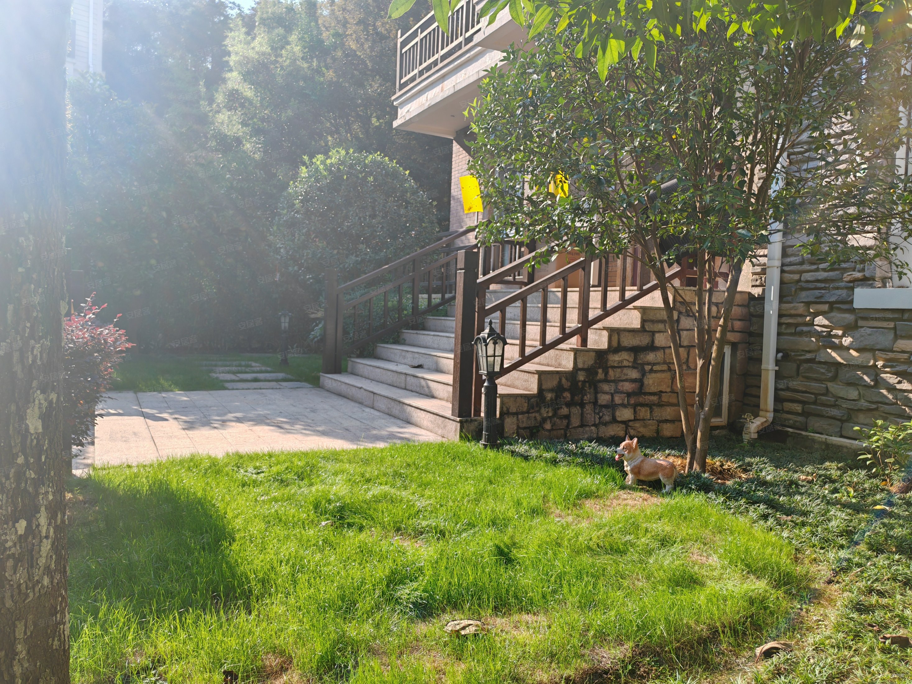 绿野春天家园(别墅)5室6厅5卫299.88㎡南2060万