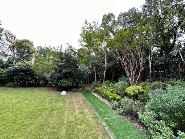 上海浦东碧云云间绿大地(别墅)主营碧云别墅南北区银杏苑!