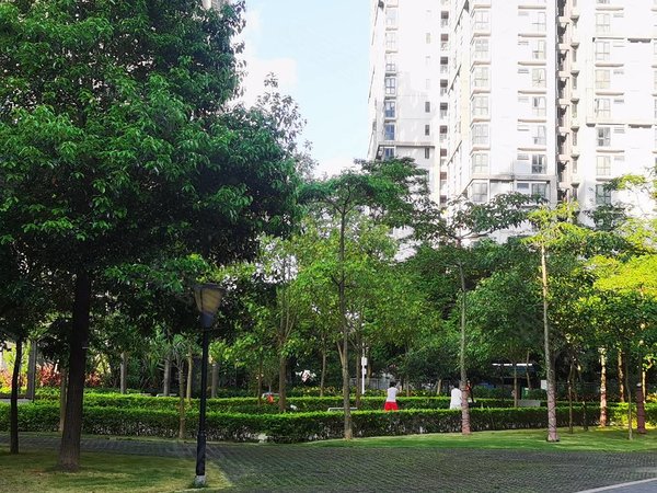 深圳南山大学城崇文花园深大医院中科院南科大旁崇文花园一房一厅