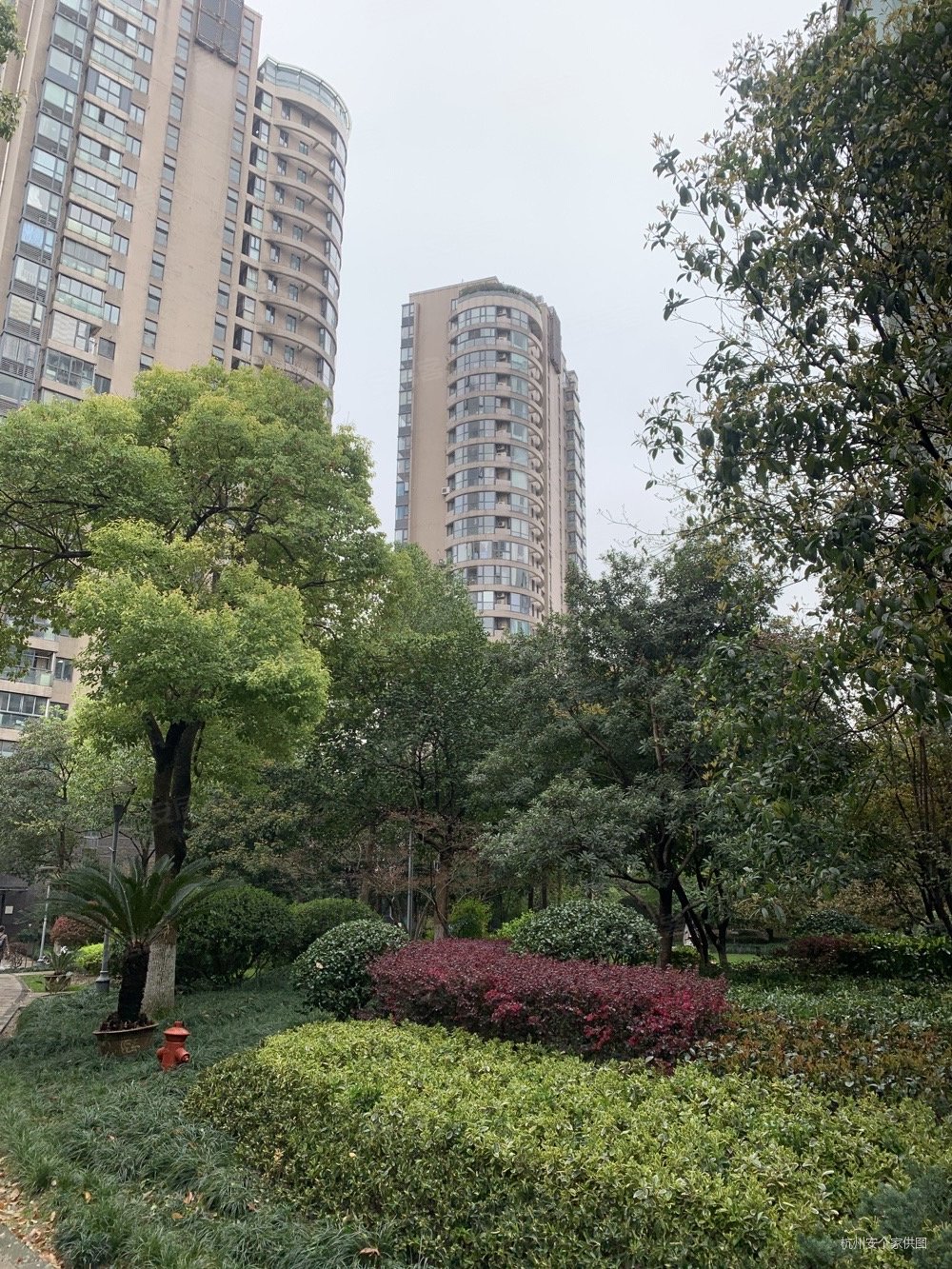 西湖申花学军紫金港耀江文鼎苑4室2厅高楼层采光好