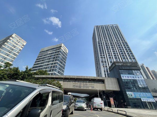 【多图】花半里欣悦广场,平湖租房,花半里欣悦广场精装2房1厅出租,全