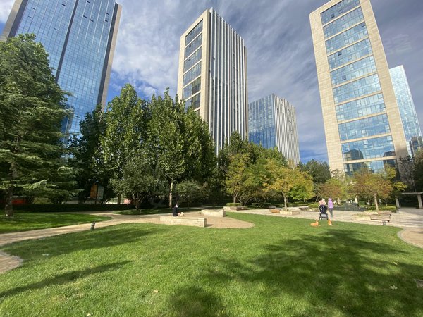 北京大兴亦庄林肯公园(b区)今天新出来的林肯三居室 价格还能谈 直接