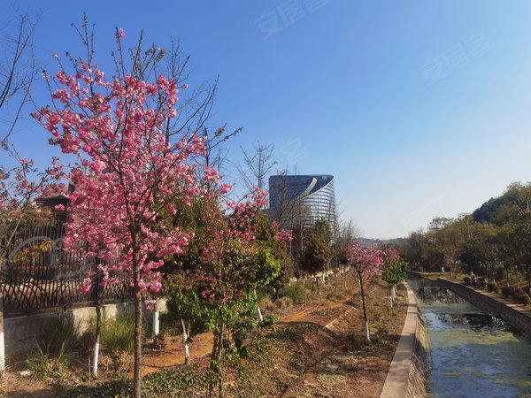 【多图】银海白沙郡,白沙河租房,带部分家具家电 精装电梯洋房 带车位