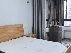 宁波北仑柴桥柴桥单身公寓，一室一厅一厨一卫出租出租房源真实图片