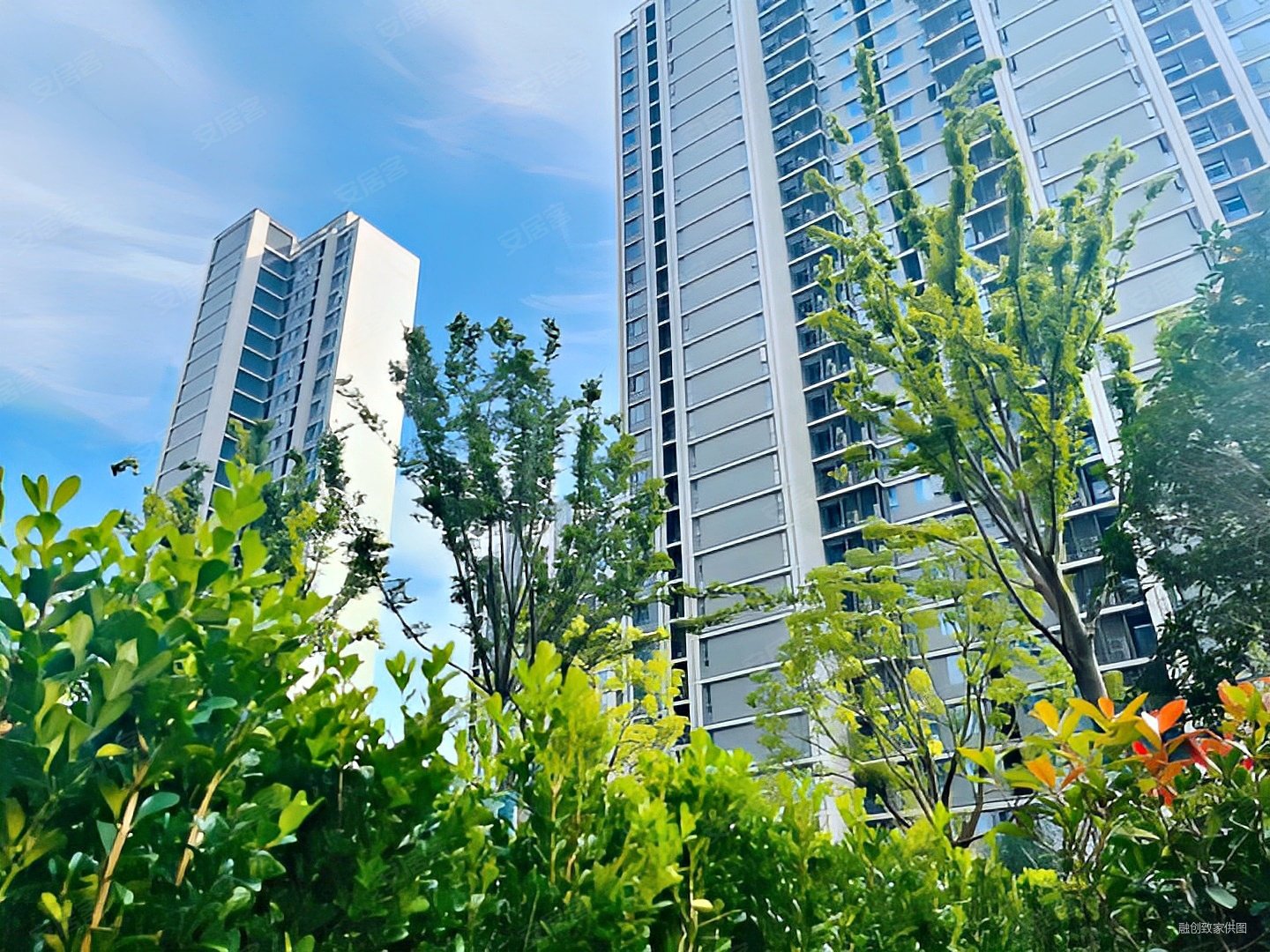 融创长江壹号3室2厅1卫98.55㎡南北235万