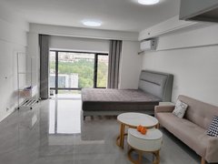 安康汉滨万达广场万达公寓 一室一卫 精装修家具家电齐全拎包入住 看房方便出租房源真实图片