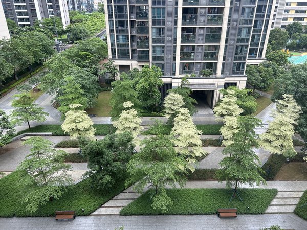 【多图】保利碧桂园公园大道,广钢新城租房,海郡花园 少有南向两房 可