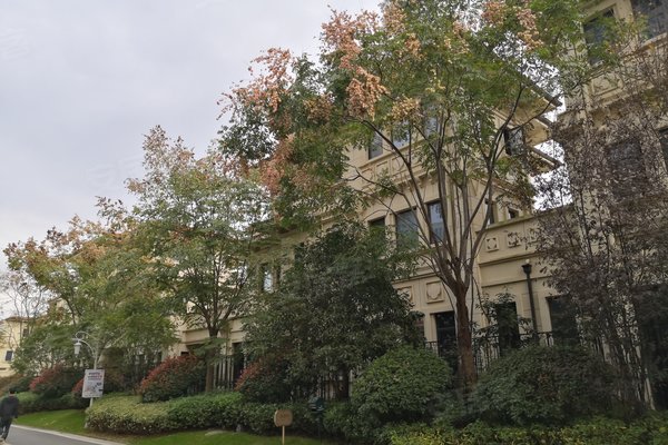 城泰凡尔赛宫(别墅)