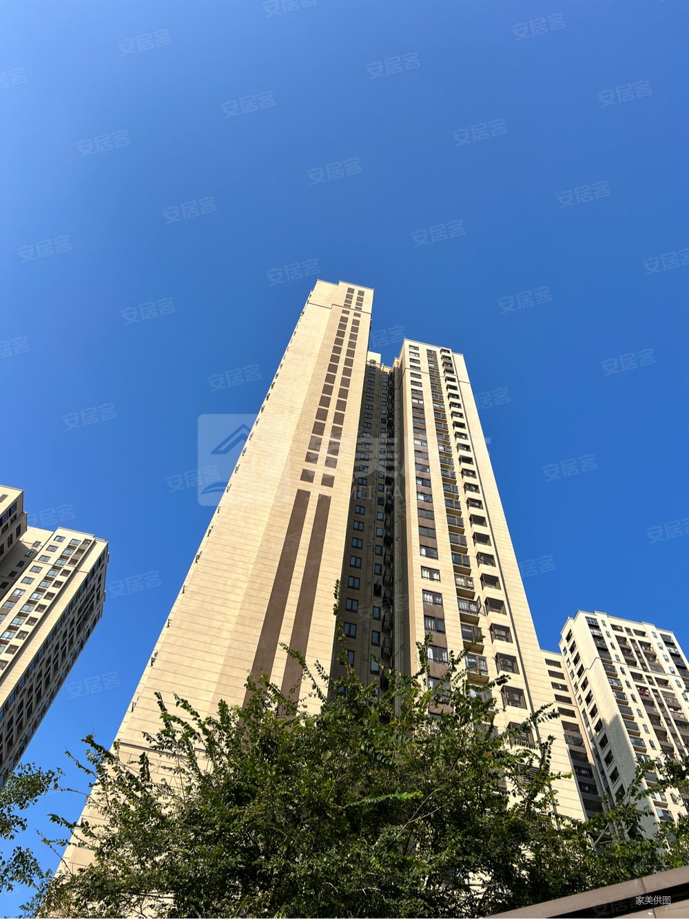 商圈成熟 配套完善 两梯四户 南向望花园 全新精装,万科美的西江悦二