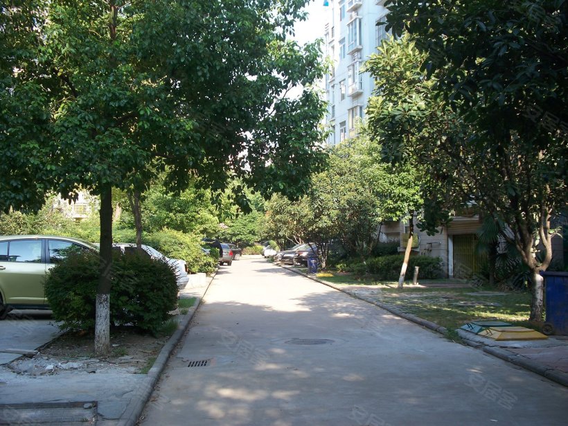 南湖中央花园 - 实景图 40 / 105