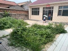北京昌平阳坊流村下店村的平房院子出租，两室一厅一卫，院里有菜地门口可停车出租房源真实图片