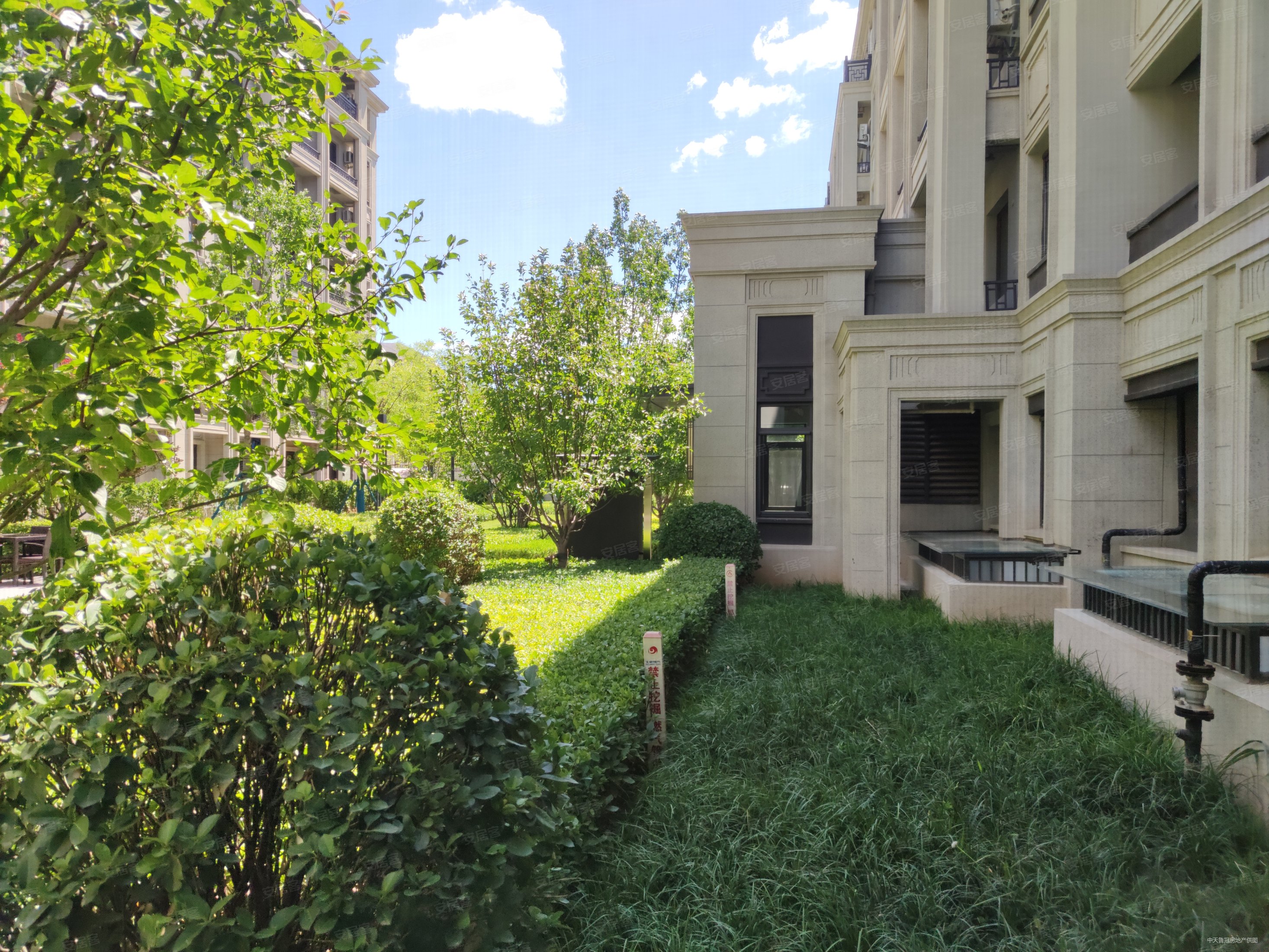 绿城西府海棠4室2厅2卫139.24㎡南北900万