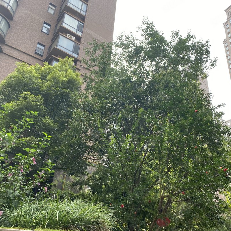 【名门樾府, 名门樾府小区详情,房价走势,房源,业主论坛】- 郑州58