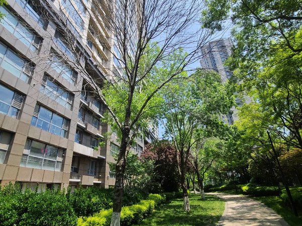 青岛安居客>青岛租房>市南租房>燕儿岛路租房>鲁商首府>鲁商首府租房>