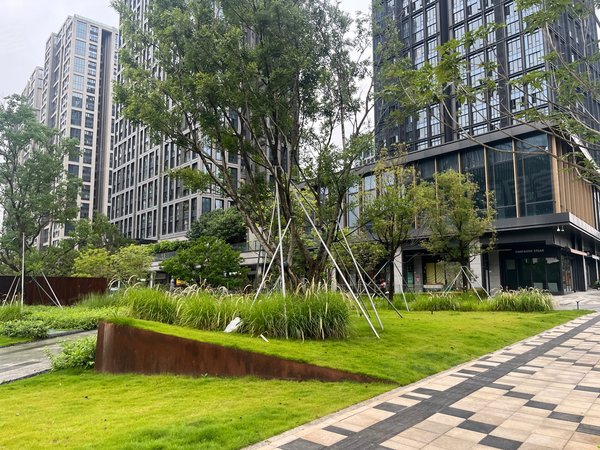 【多图】启迪协信深圳科技园,大运租房,启迪协信 精装两房 朝南 家私