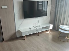 台州路桥中盛广场美宸园二室一厅，家电齐全临近中盛城市广场十里长街五金城吾悦广出租房源真实图片