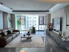 永州冷水滩帝王广场中邦世纪广场 三室两厅两卫121平 豪华装修 拎包入住出租房源真实图片