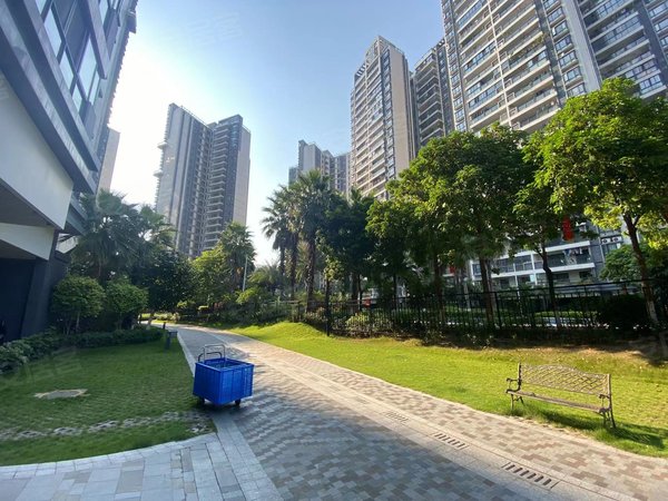 广州荔湾桥中悦江上品苑悦江上品苑 第一次出租高层望江四房 南北对流