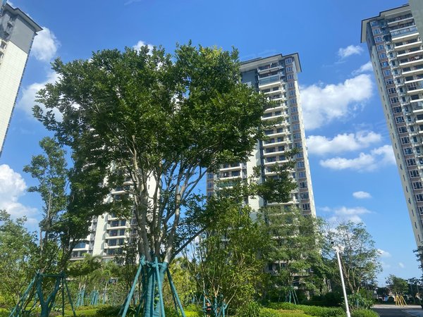 南宁兴宁三塘南宁碧桂园时代城南宁碧桂园时代城 3室2厅2卫出租房源