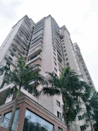 南北向 拎包入住, 鑫龙大厦二手房, 2室2厅1卫, 156万元 - 海口58安居