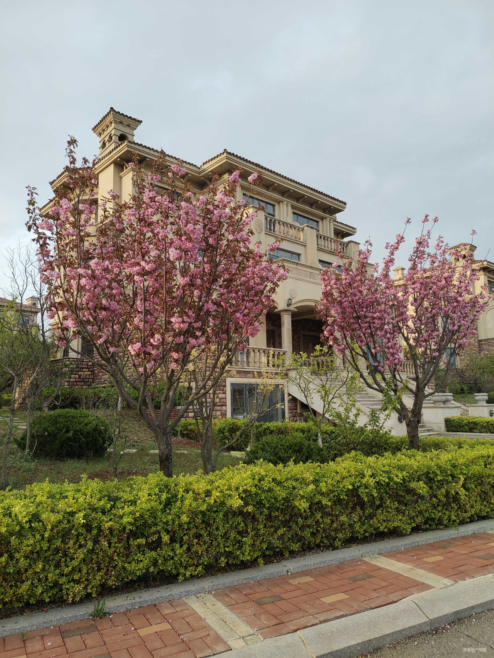 紫荆园新银街6室5厅5卫500平方米