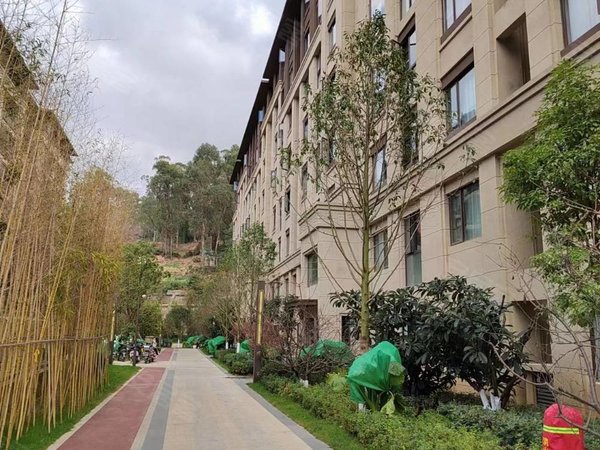 昆明五华莲花片区德润香山府好房出租德润香山府端头房大横厅精装大3