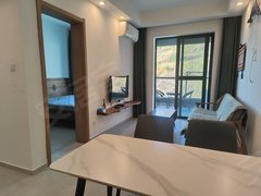 西双版纳景洪告庄星光夜市附近，一室两厅一厨一卫，燃气入户，阳台看告庄。出租房源真实图片