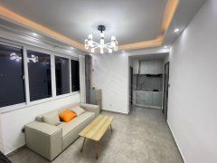 上海闵行吴泾地铁口一室一厅精装修押一付一出租房源真实图片