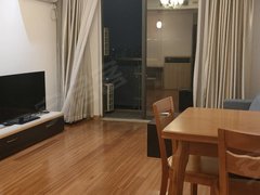 苏州太仓城厢华旭大厦精装修公寓1室1厅1卫拎包入住停车方便多套出租随时看出租房源真实图片