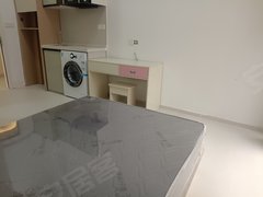 深圳龙岗横岗(整租)四联贤合小区 品牌公寓 精装修 电梯房 首月免租出租房源真实图片