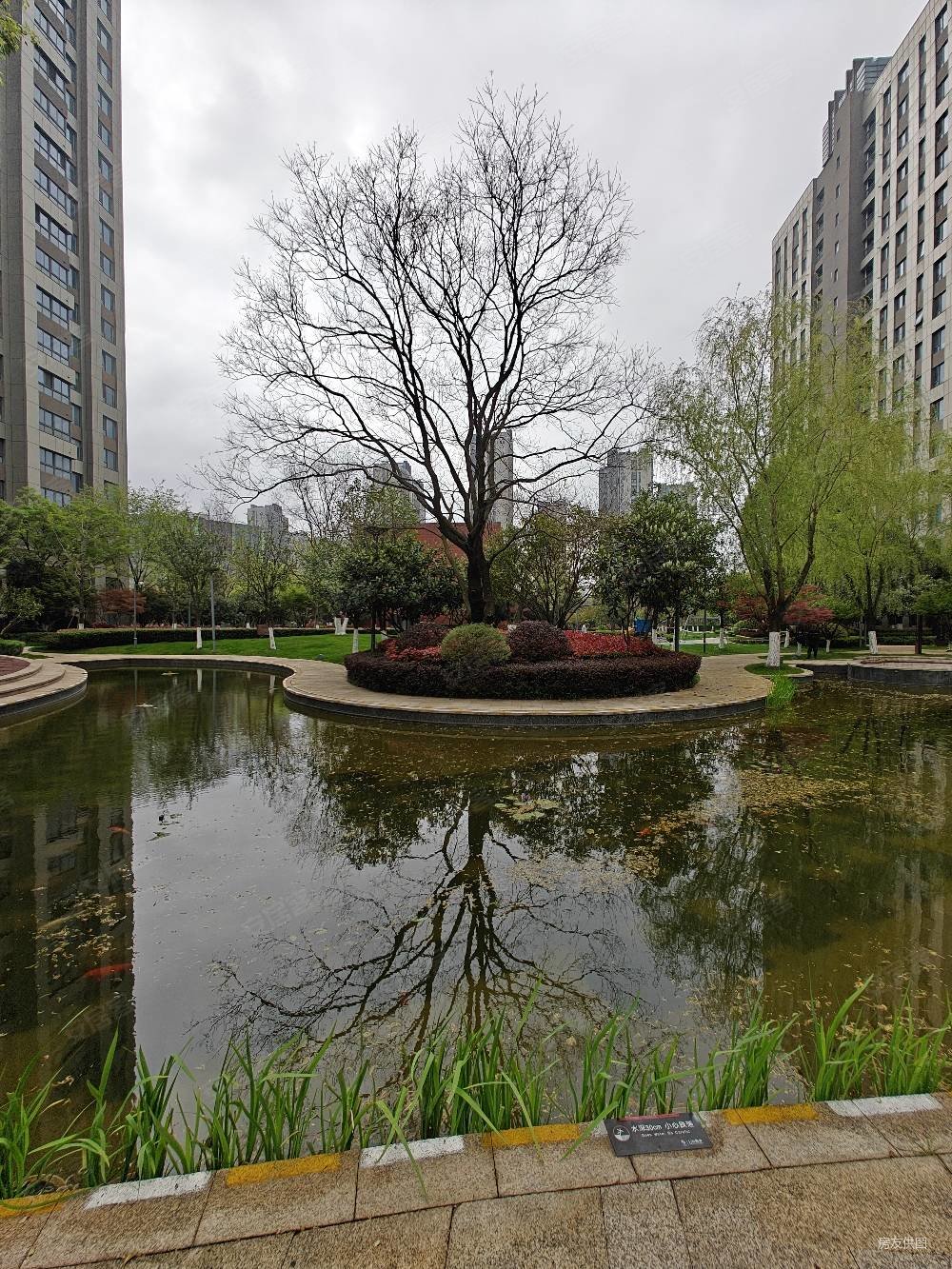 南京房产网>南京二手房>建邺二手房>江心洲二手房>洲岛家园绿洲苑>