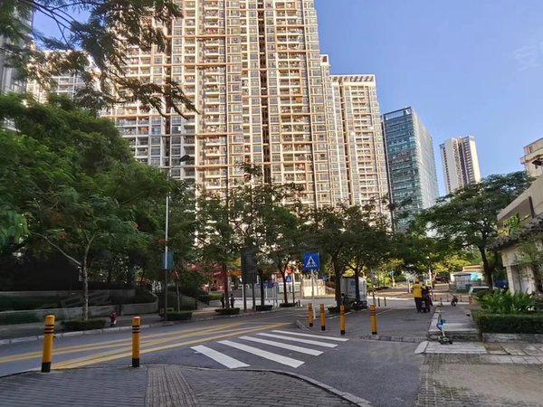 【多图】崇文花园,大学城租房,崇文花园电梯房 精一房一厅直租 学校旁