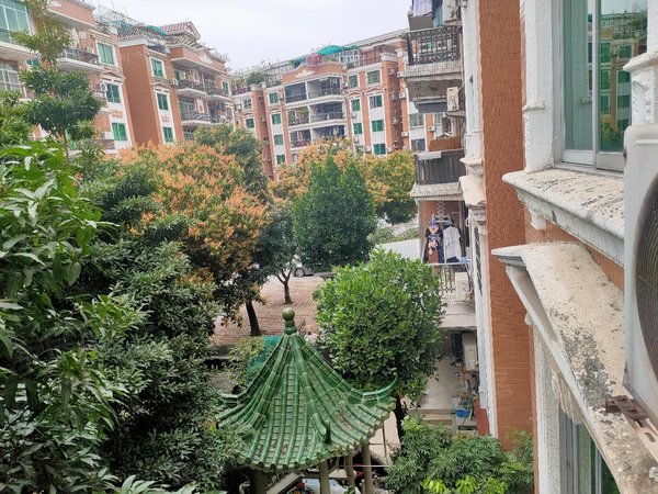 广州番禺南浦广州碧桂园广州碧桂园  锦苑2房2厅 大阳台精装 南北通透