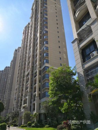 东莞二手房 塘厦二手房 新开发区二手房 观澜碧桂园  /00:56 repeat