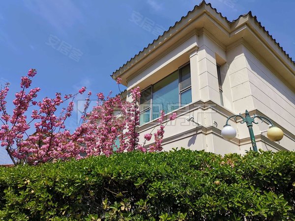 北京朝阳三元桥京润水上花园(别墅)亮马河外商聚集五星酒店林立 东