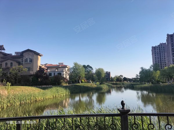 青岛城阳棘洪滩青岛碧桂园1200包物业碧桂园精装房出租,配置齐全,直接