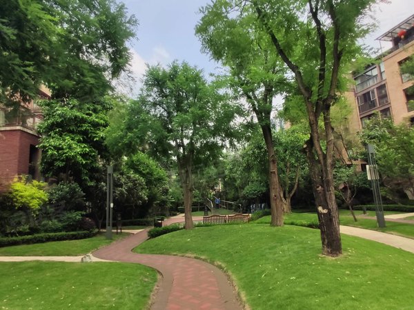 重庆沙坪坝大学城龙湖u城2组团龙湖u城 精装洋房 拎包入住 便宜急租